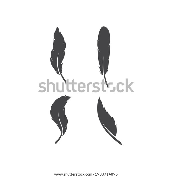 feather logo template\
vector icon design