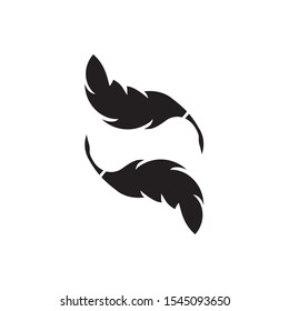 feather logo template vector illustration
