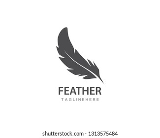 feather logo vector template