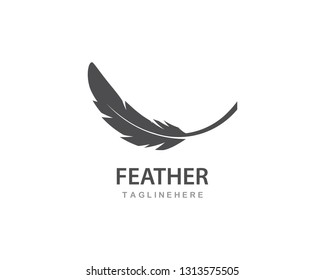 feather logo vector template