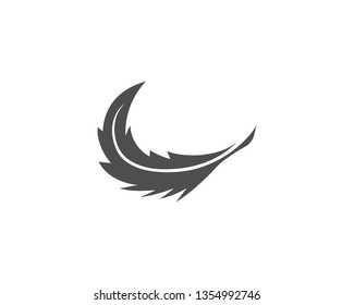 feather logo vector template 