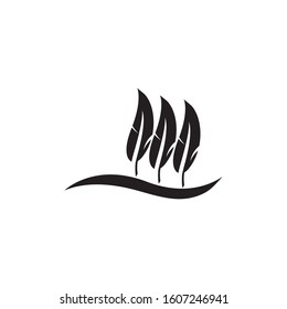 feather logo vector template 
