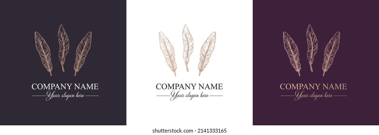 Feather logo vector template. Abstract design, elegant style. Brand for writer, yoga and other businesses. Vector