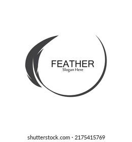 Feather logo vector template background