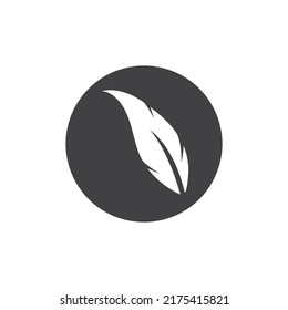 Feather logo vector template background