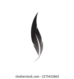Feather logo vector template background