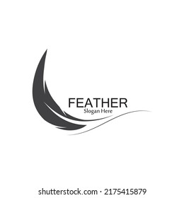 Feather logo vector template background