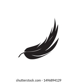 feather logo vector template design
