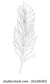 Feather, Low polygon linear vector illustration