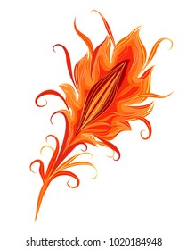 The feather of a magical bird. The feather of a fantastic bird. Vector isolated feather in vintage style on a white background.