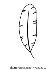 feather monochrome isolated icon vector illustration design