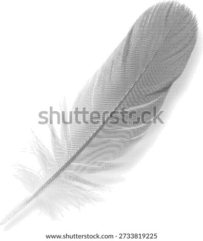 feather nature bird plume illustration halftone quill flight wing light soft biology wildlife retro dotwork bird nature light plume