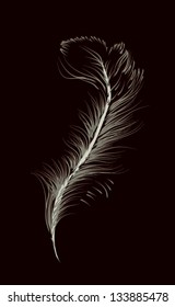 Feather on a black background