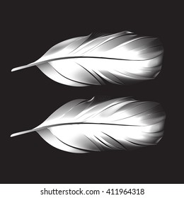 the feather on black background