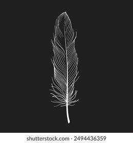 Feather on a black background. Vector illustration for your design