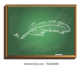 Feather on chalkboard. Hand drawn decorative feather. Sketched feather. Vector Illustration