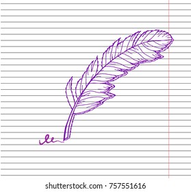Feather on copybook background. Hand drawn decorative feather. Sketched feather. Vector Illustration