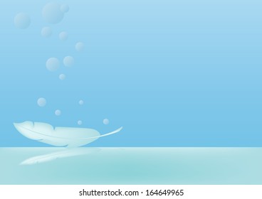 feather  on  water