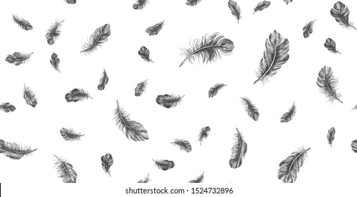 Feather on white background. Hand drawn illustration