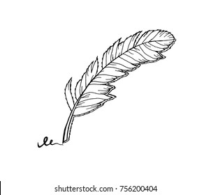 Feather on white background. Hand drawn decorative feather. Sketched feather. Vector Illustration