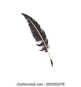 Feather on white background vector