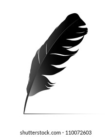 Feather on white background vector
