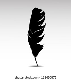 Feather on white background vector