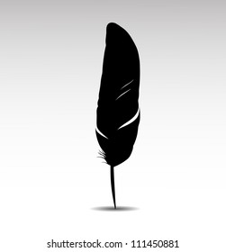 Feather on white background vector