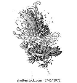Feather on a white background. Vintage Artistically hand drawn stylized tribal feather. Doodle feather. Ink drawing. Coloring book. Black and White. 