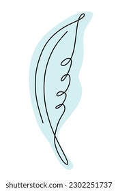 Feather one line drawing. Hand-drawn minimalist illustration, vector