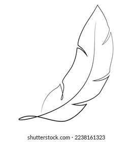 Feather one line drawing on a white background. Minimalist contour image of a bird feathers.