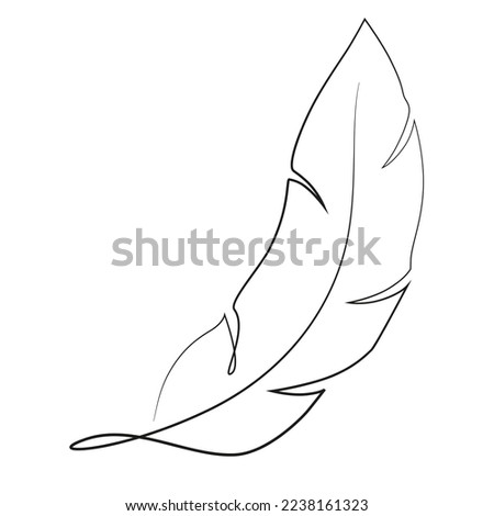 Feather one line drawing on a white background. Minimalist contour image of a bird feathers.