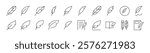 Feather Outline Simple Linear Image Collection. Editable Stroke. Suitable for Web Sites, Books, Cards, Apps
