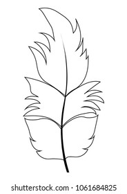 feather outline vector