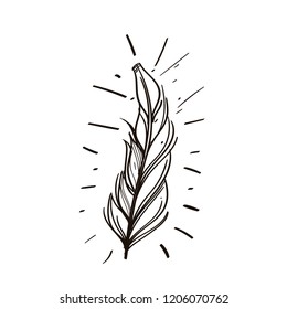 Feather. Outline vector illustration isolated on white background.