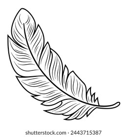 Icono de vector con contorno de plumas, ideal para varios proyectos gráficos.