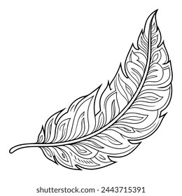 Feather outlined vector icon, ideal for various graphic projects.