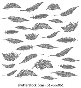 Feather Pattern
