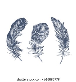 Feather Pattern