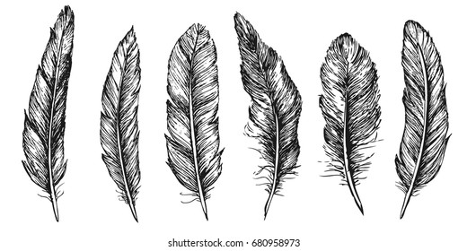 Hand Drawn Feather Set Line Art Stock Vector (Royalty Free) 1193471479