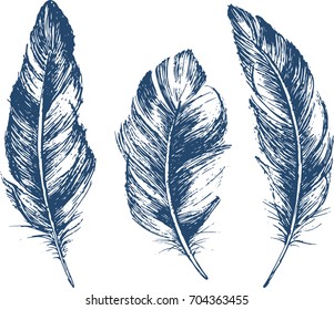 Feather Pattern
