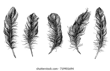 Feather Pattern