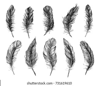3,068 Continuous line drawing feather Images, Stock Photos & Vectors ...