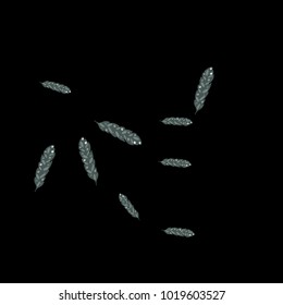Feather Pattern background, cute and fun decoration. Black background. Vector illustration for celebration, party, carnival, festive holiday and Your project.