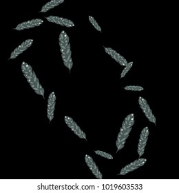Feather Pattern background, cute and fun decoration. Black background. Vector illustration for celebration, party, carnival, festive holiday and Your project.
