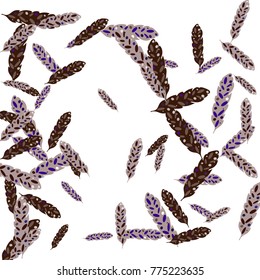 Feather pattern background. Vector illustration for decoration of holidays, postcards, posters, websites, carnivals, birthday and children's parties.
