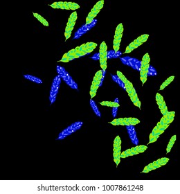 Feather Pattern, bright colorful background, cute and fun decoration. Black background. Vector illustration for celebration, party, carnival, festive holiday and Your project.