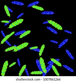 Feather Pattern, bright colorful background, cute and fun decoration. Black background. Vector illustration for celebration, party, carnival, festive holiday and Your project.