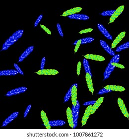 Feather Pattern, bright colorful background, cute and fun decoration. Black background. Vector illustration for celebration, party, carnival, festive holiday and Your project.