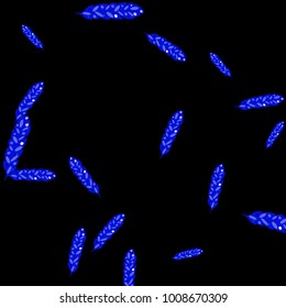 Feather Pattern, bright colorful background, cute and fun decoration. Black background. Vector illustration for celebration, party, carnival, festive holiday and Your project.